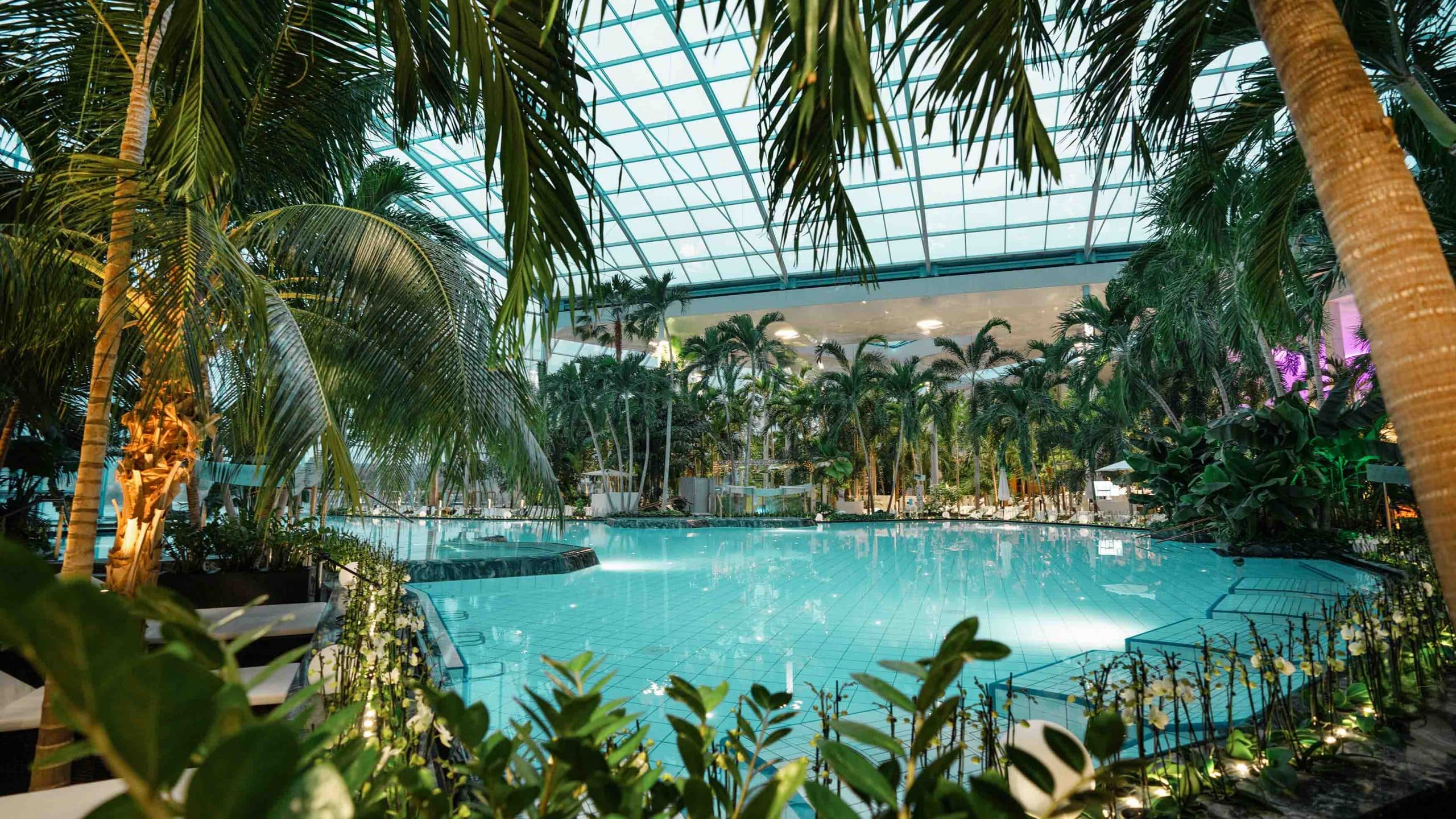 snh palmenparadies lagune daemmerung 2024